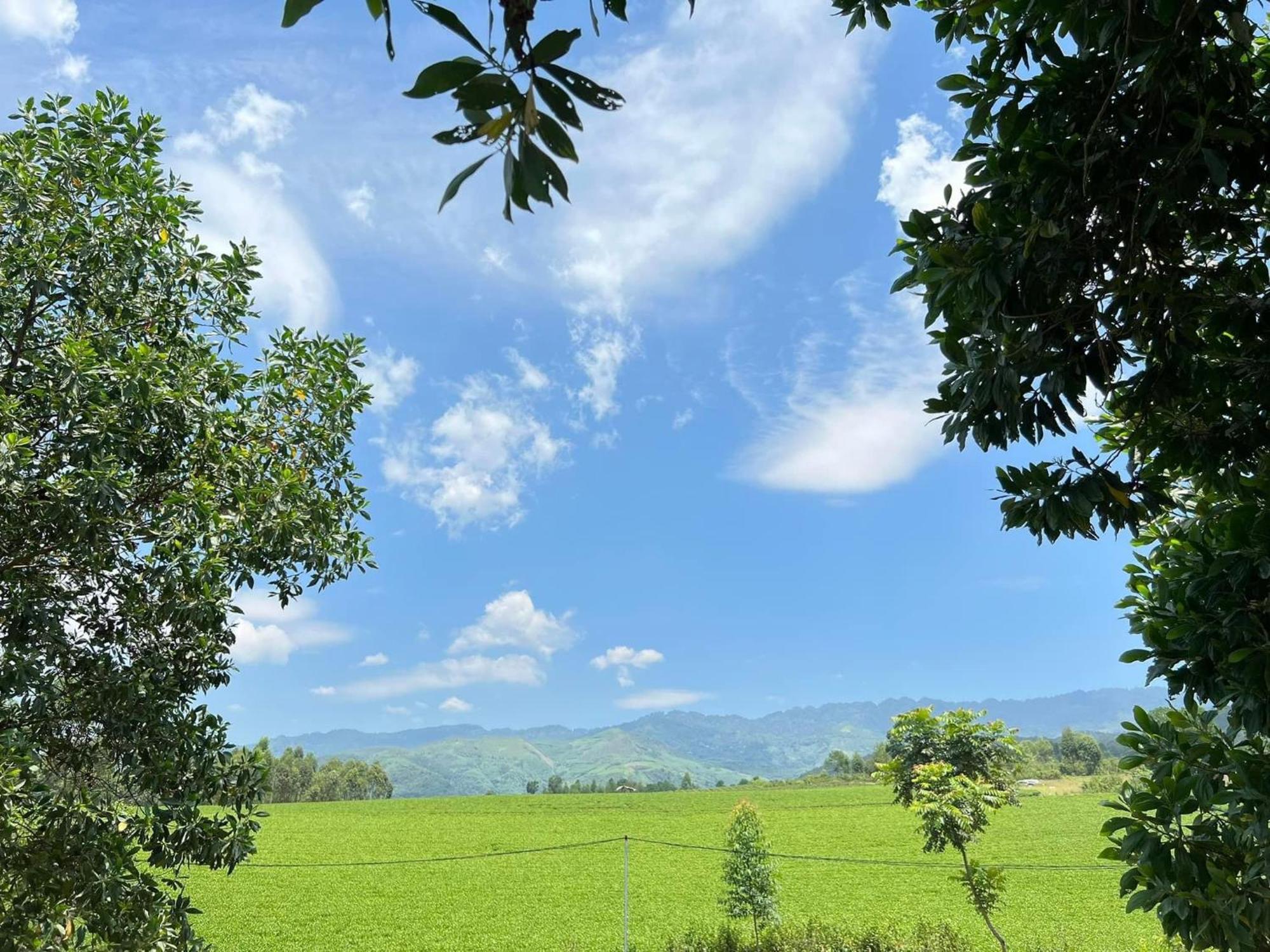 Happy Homestay Nghia Lo Buitenkant foto