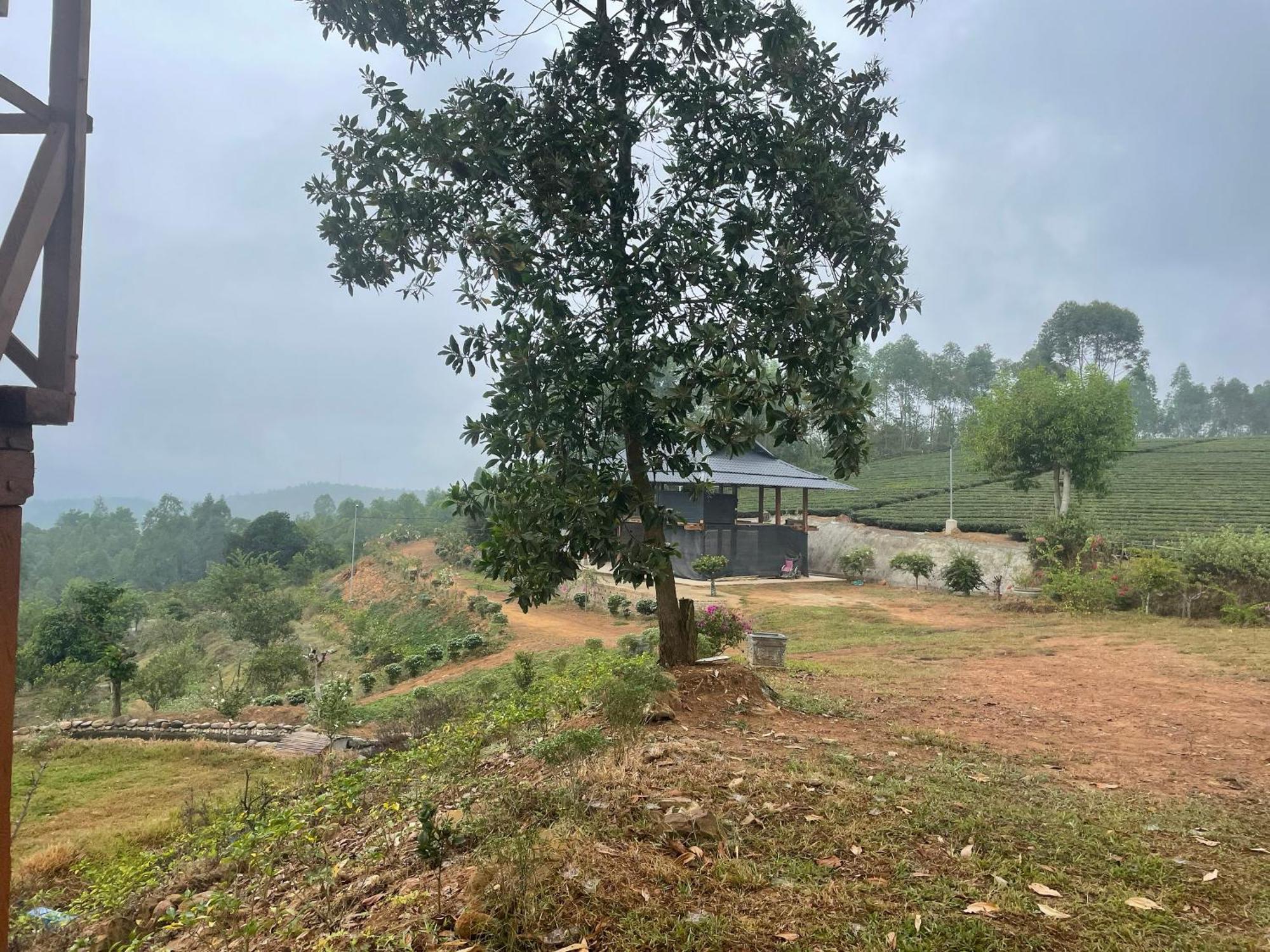 Happy Homestay Nghia Lo Buitenkant foto